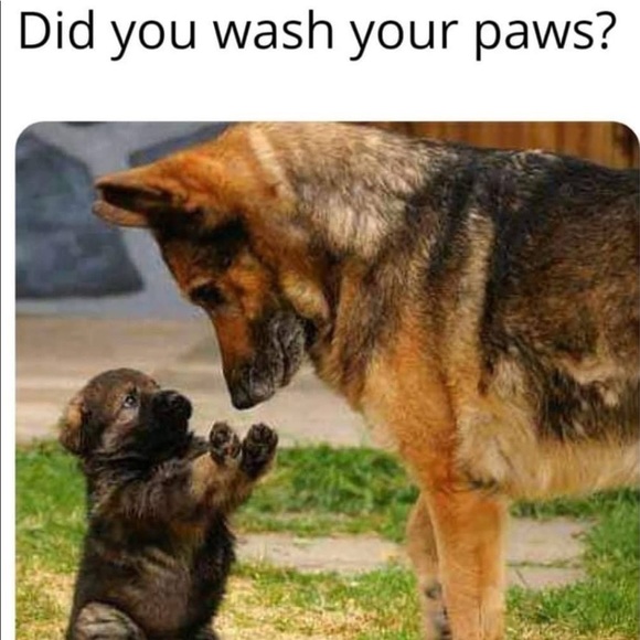 💰 20% OFF 2+ ITEMS! JUST HIT BUNDLE BUTTON BELOW THE ITEMS U WISH TO BUNDLE! 🙂 - Picture 2 of 3